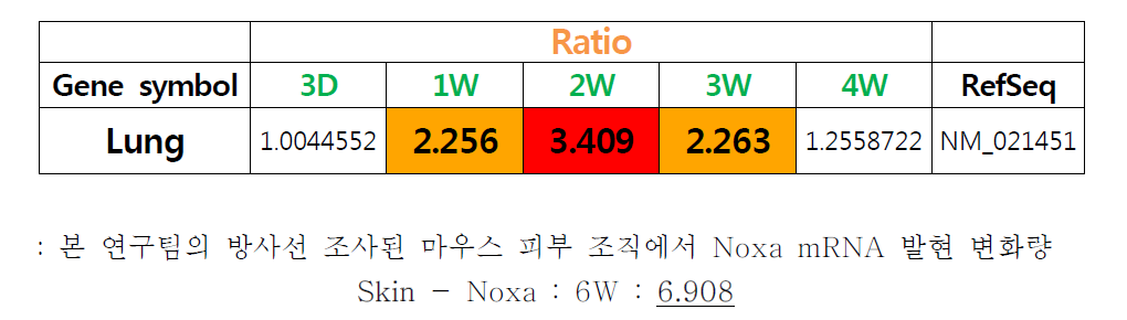 임상유사방사선 폐 및 피부조직에서 Noxa mRNA의 증가량