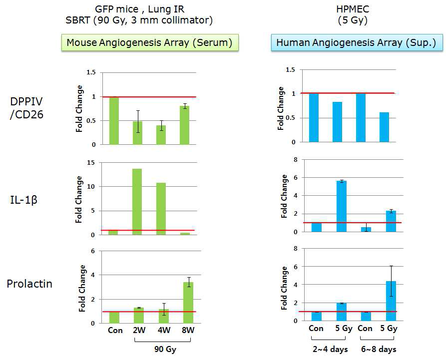 혈관형성 관련 항체기반 단백질 array의 분석결과, 폐에 방사선을 조사(90 Gy)한 Tie2-GFP 마우스의 혈청과 방사선을 조사 (5 Gy)한 사람 폐의 미세혈관 내피세포 (Human Pulmonary Microvascular Endothelial Cells; HPMEC)의 배양액에서 공통으로 감소 현상을 보이는 단백질 (DPPIV/CD26)과 증가 현상을 보이는 단백질 (IL-1β, Prolactin)을 관찰함.