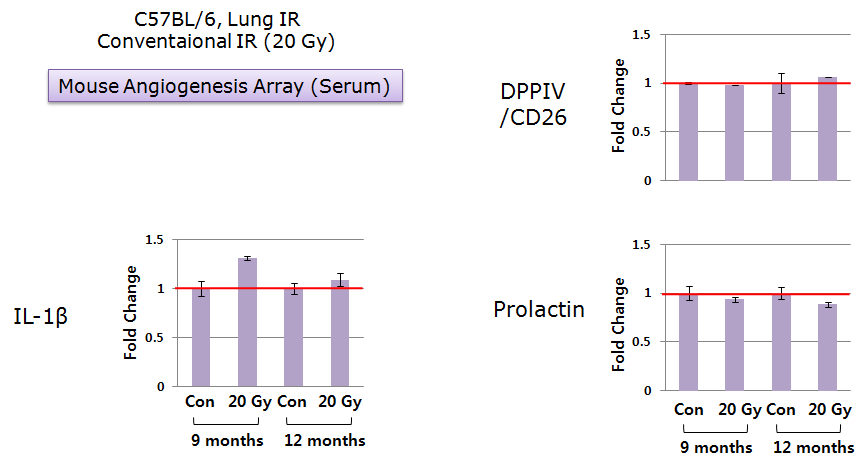 혈관형성 관련 항체기반 단백질 array를 이용하여 통상적 방사선 조사 (Conventioanl Radiotherapy, 20 Gy)를 받은 마우스의 혈청을 분석결과, 체부정위 방사선 조사 (SBRT; Stereotactic body radiation therapy, 90 Gy)를 받은 마우스의 폐 조직에서 DPPIV/CD26의 발현은 감소하고, IL-1β와 Prolactin의 발현은 증가하여 항체 기반 array와 일치한 결과를 관찰함. SBRT에 비해 변화 정도가 약함을 관찰할 수 있었음.