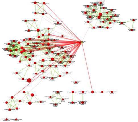 위의 그림에서 분석한 GO network와 prolactin, IL-1 beta, CD26 및 1차 상호작용단백질들(가운데 노란세모)과의 연관성을 분석한 결과임.