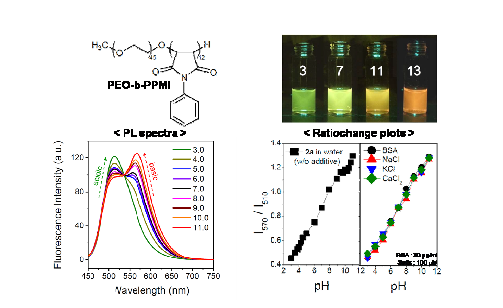 PEO-b-PPMI의 화학 구조 및 수용액 상에서의 pH에 따른 형광 특성 변 화