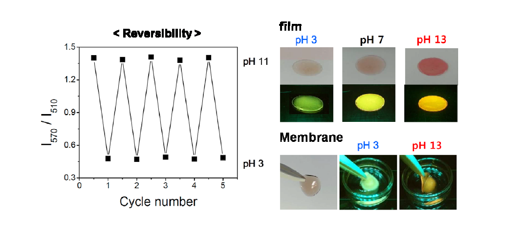 PEO-b-PPMI 필름 및 막(membrane) 가공하에서의 센싱 성능 및 cycle data