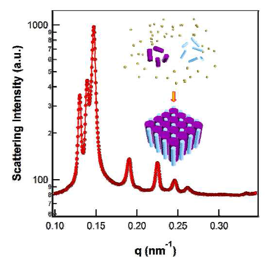 p-C16TVB:p-C08TVB=1:2 비율에서의 SAXS pattern. 고도로 정렬된 계층적 구조체가 형 성됬음을 확인할 수 있다