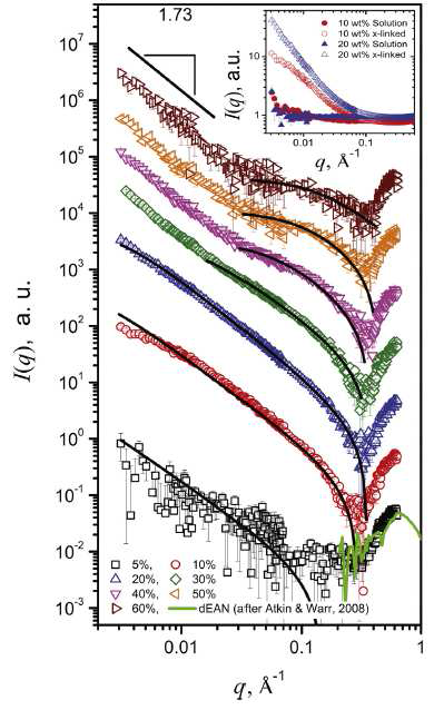 PEGDA/dEAN 이온 겔의 SANS 분석