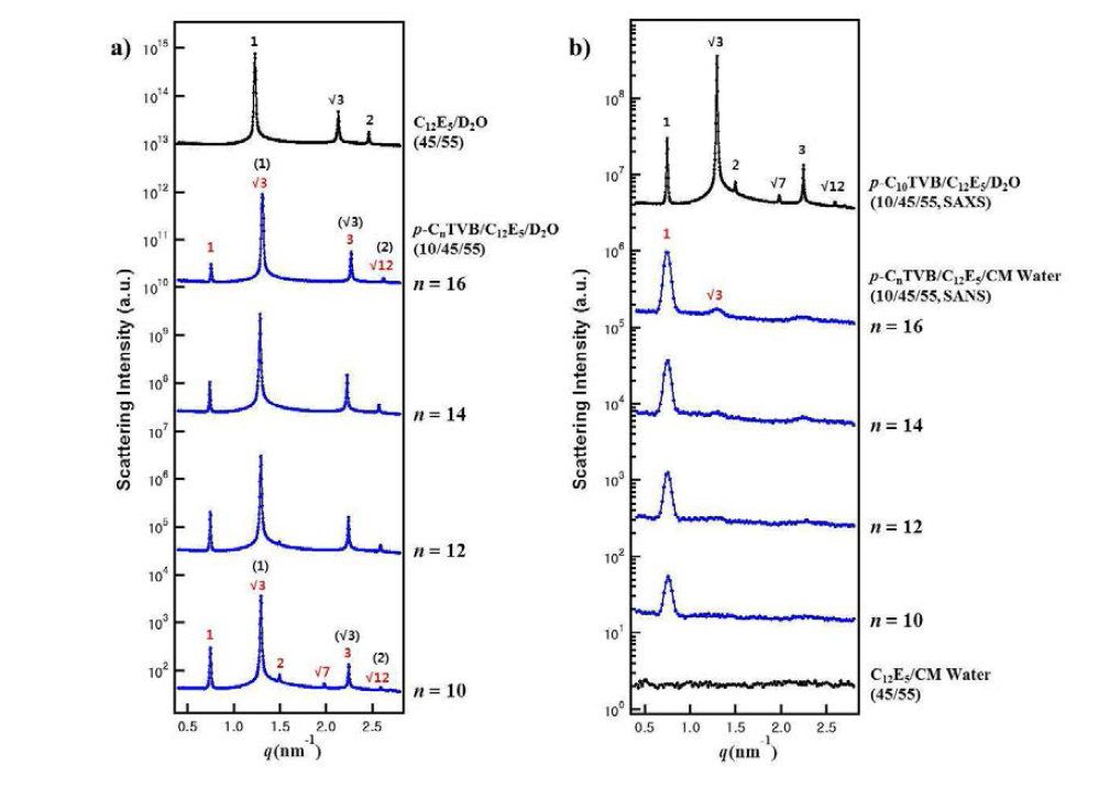 a) p-CnTVB/C12E5/D2O (n = 8, 10, 12, 14, 16) 의 SAXS 결과. b) p-CnTVB/C12E5/D2O (n = 8, 10, 12, 14, 16) 의 Contrast matching SANS 결과