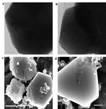 TEM (a,b)과 SEM(c,d) 이미지. 스케일 (a) 50 nm, (b) 20 nm, (c) 500 nm and (d) 200 nm