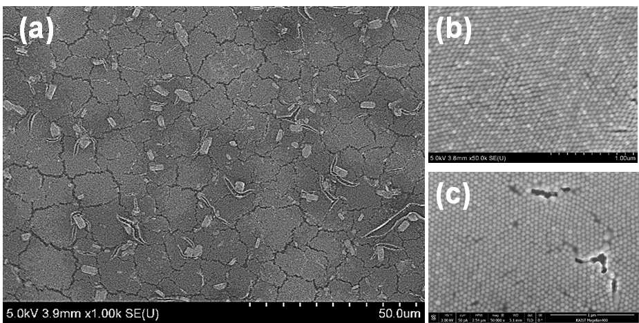 SEM 이미지 a) 실리카 구조내에 형성된 금나노막대 초격자 구조체. b) before calcination. c) after calcination