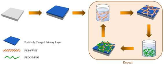 탄소나노튜브와 전도성 고분자를 이용한 Layer-by-Layer 자기조립의 모식도