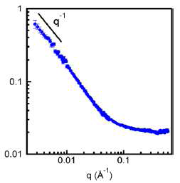 전도성 고분자로 기능화 된 탄소나노 튜브가 수용액에서 잘 분산 되어있음을 보여 주는 SANS 데이터