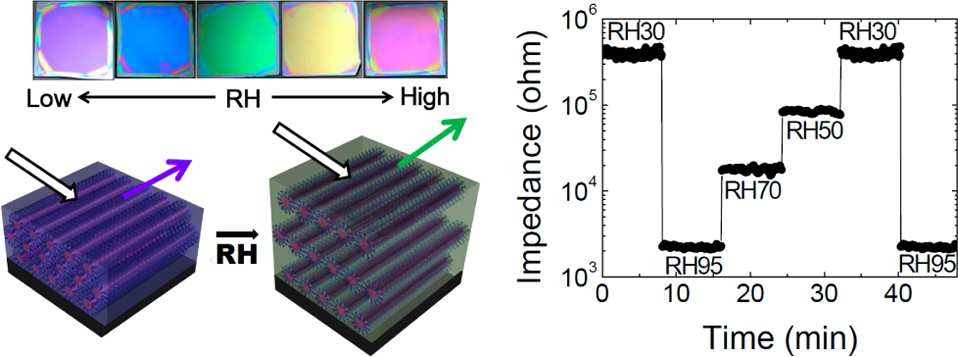 색깔 및 저항변화를 보이는 dual-mode 습도 센서의 거동 및 구조 변화를 나 타내는 도식도