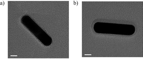 (a) 음 이온성 고분자와 (b) 양 이온성 고분 자로 개질된 금 나노막대, 음 이온성 고분자와 양이온 성 고분자의 두께는 각각 약 2.5 nm, 3.4 nm