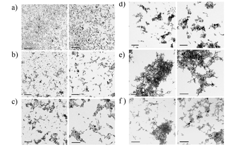 Mixing ratio가 다를 때 각각의 TEM image (a) 0.0, (b) 1.0, (c) 1.2, (d) 1.3, (e) 1.4 (isoelectric point) 그리고 (f) 2.2