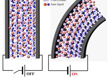 고분자 액츄에이터 내부의 이온 거동 메카니즘
