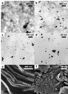 (a) PSS-G (b, c, d) Pt-PSS-G의 TEM image (e, f)Pt-PSS-G의FE-SEM image