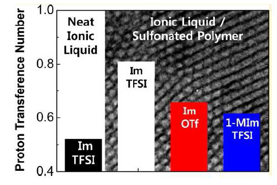 이온성 액체를 탐침한 고분자 전해질 막의 수소 이온 전달 효율
