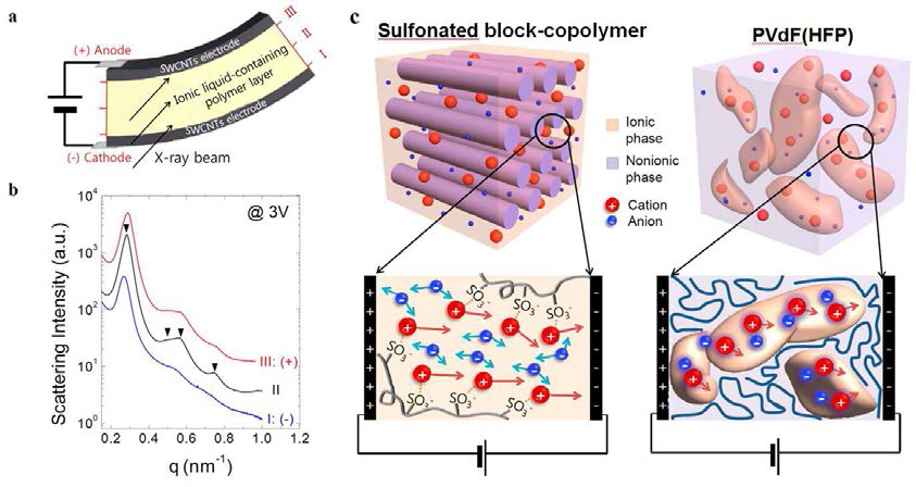 (a) in-situ 소각산란 실험을 위한 실험 설계 도안 (b)전기장을 인가하였을 때 고분자 전해질 내부의 소각산란 실험 데이터 (c) 고분자 전해질 액츄에이터 내부의 이온전달 메커니즘