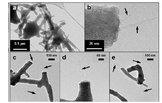 (a~e)는 단일벽 탄소나노튜브가 포함된 다 공성 실리카구조체의 전자현미경 이미지