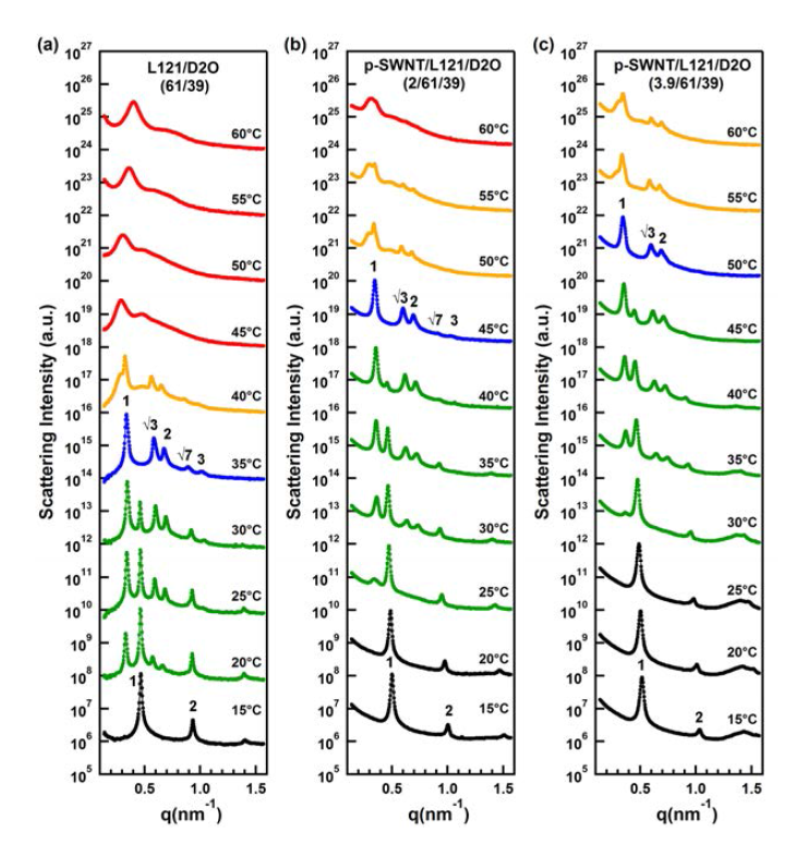 L121 수용액 상태에서 p-SWNT의 농도 및 온도 변화에 따 른 SAXS 데이터