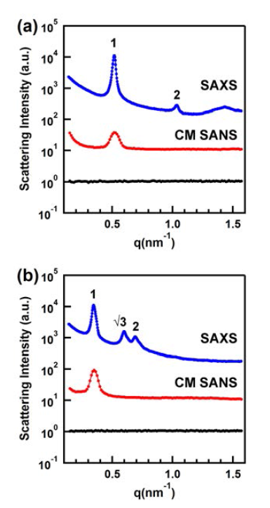 Contrast matched SANS, SAXS 비교 데이터