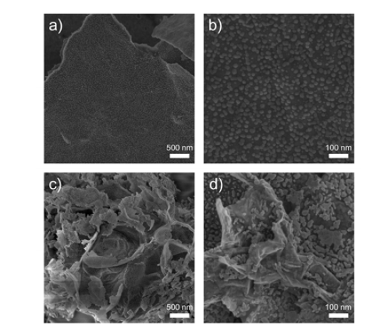 질소도핑된 Graphene/Mn-Oxide 하 이브리드의 FE-SEM image