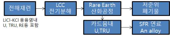 폐용융염에 포함된 악티나이드를 회수하기 위한 LiCl-KCl/Cd계에 대한 RAR공정