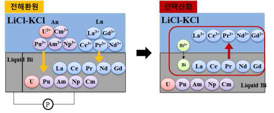 PyroRedSox - 정전류법을 이용한 란타나이드의 액체금속으로 전해환원 및 환원된 란타나이드의 선택적 산화의 공정 개념도