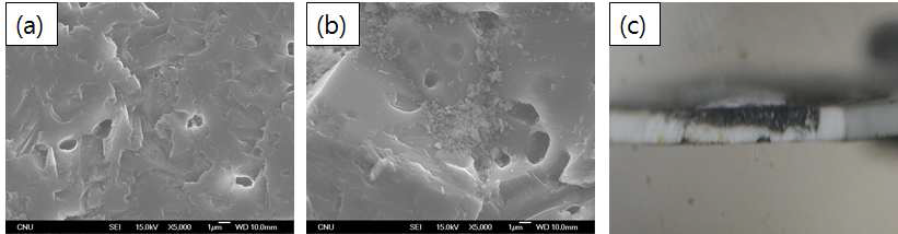 BeO 단면의 미세조직 분석 (a)미영향부, (b)영향부, (c)BeO시편의 단면
