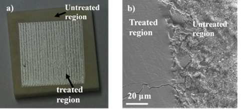 Microscopic view of the LT specimen. (b) SEM image comparing the as received and laser treated Al2O3. Microstucture at the interface of the LT specimen showing the treated and untreated regions