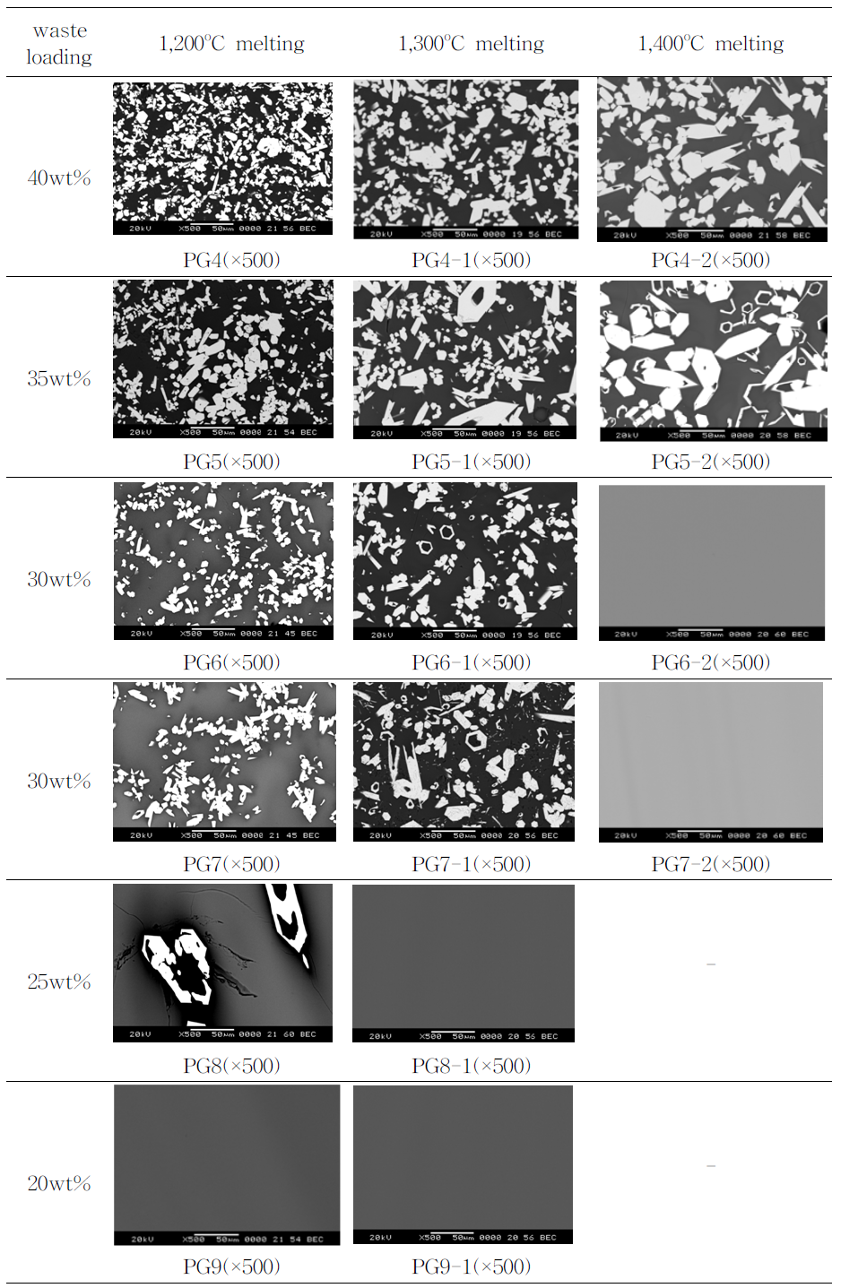 용해도 평가(SEM micrographs)