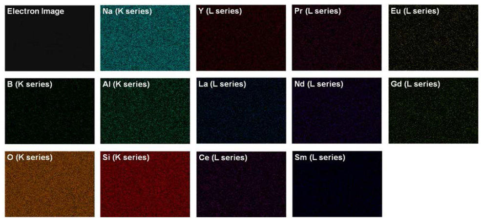 Element x-ray mapping of the fabricated glass