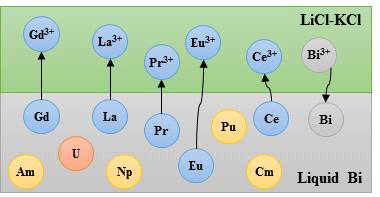용융염/액체 Bi 계에서 용융염에 BiCl3 산화제를 주입하여 선택 적 산화추출로써 란타나이드를 분리하는 단계