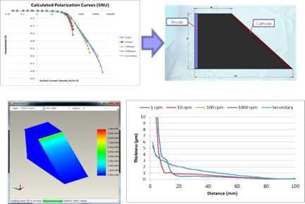 계산한 분극곡선을 적용한 3D 모델 및 결과