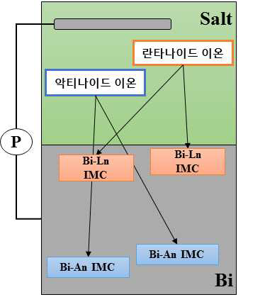 용융염과 액체 Bi를 사용하여 전해회수를 통한 밀도차 군 분리 개념도