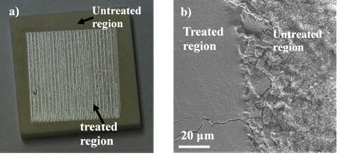 Microscopic view of the LT specimen. (b) SEM image comparing the as received and laser treated Al2O3. Microstucture at the interface of the LT specimen showing the treated and untreated regions