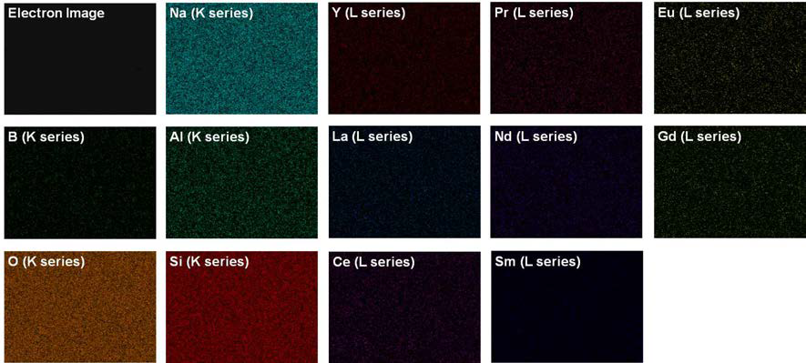 Element x-ray mapping of the fabricated glass