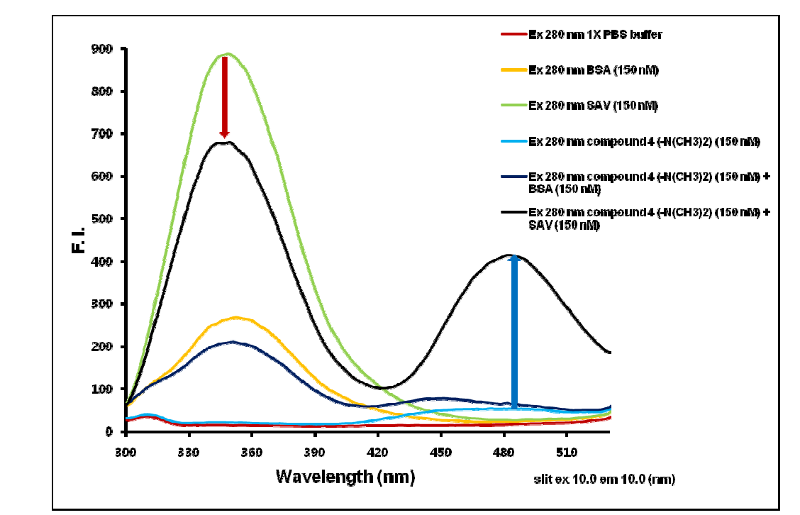 iFRET 형광탐침 II를 이용한 Steptavidin 검출
