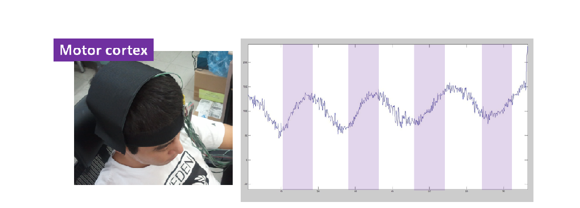 10초 운동(purple), 10초 휴식(white)할 때 Motor Cortex 영역에서 측정한 NIRS