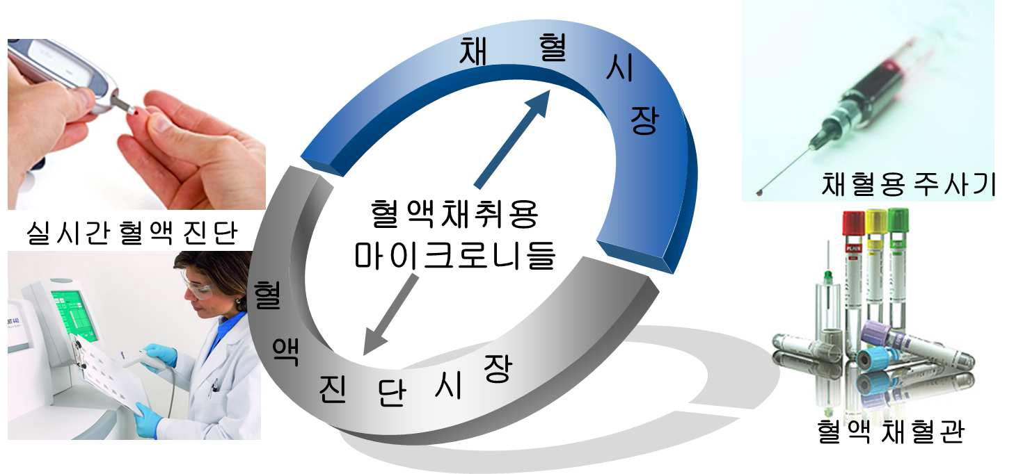 혈액채취용 마이크로니들 관련 시장.