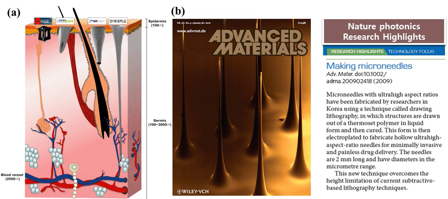 (a) 타 연구소에서 제작되고 있는 마이크로니들과 본 연구실에서 제작된 마이크로니들의 종횡비 대비 피부 관통 모식도; (b) 마이크로니들 제작방법 관련 논문.