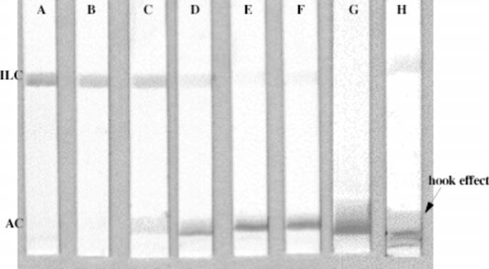 대장균 O157을 sandwich assay format으로 검출하기 위한 면역리포좀 (immunoliposome) strip 어세이. AC: antigen capture zone. ILC: immunoliposome capture zone.