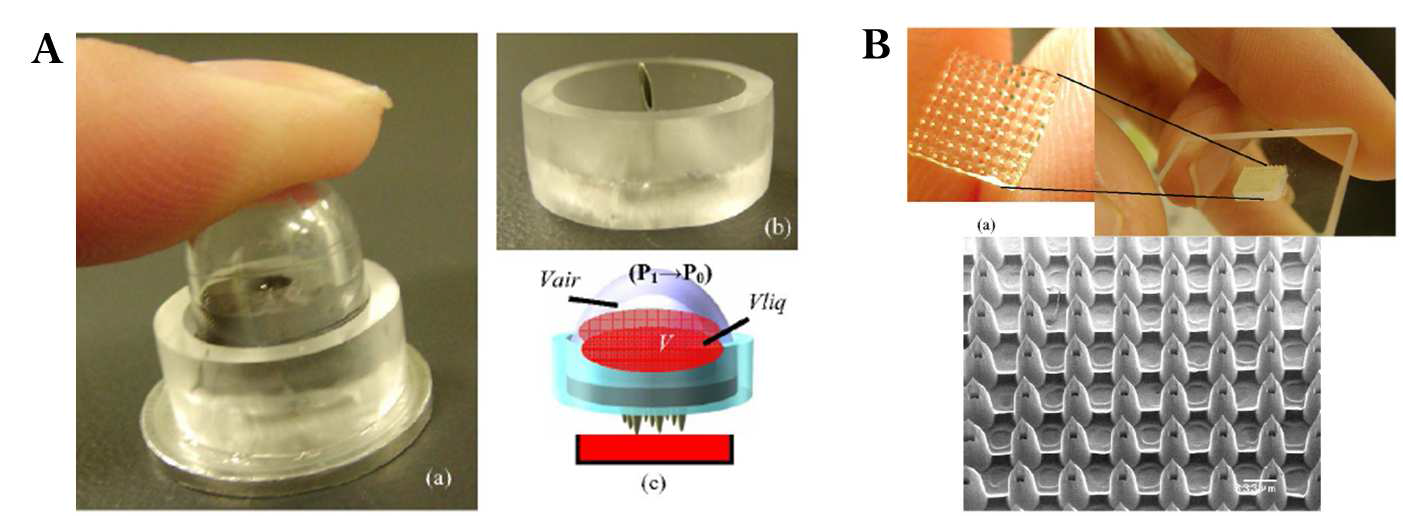 (A) 수기야마 연구팀의 Blood Extraction Device; (B) Polymer 중공형 마이크로니들.