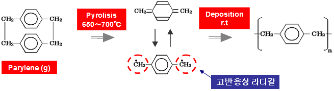 파릴렌의 구조식과 증착과정.