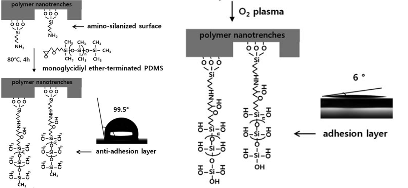 나노구조물 표면에 PDMS를 화학적으로 결합시켜 친수성 유도하는 방법.