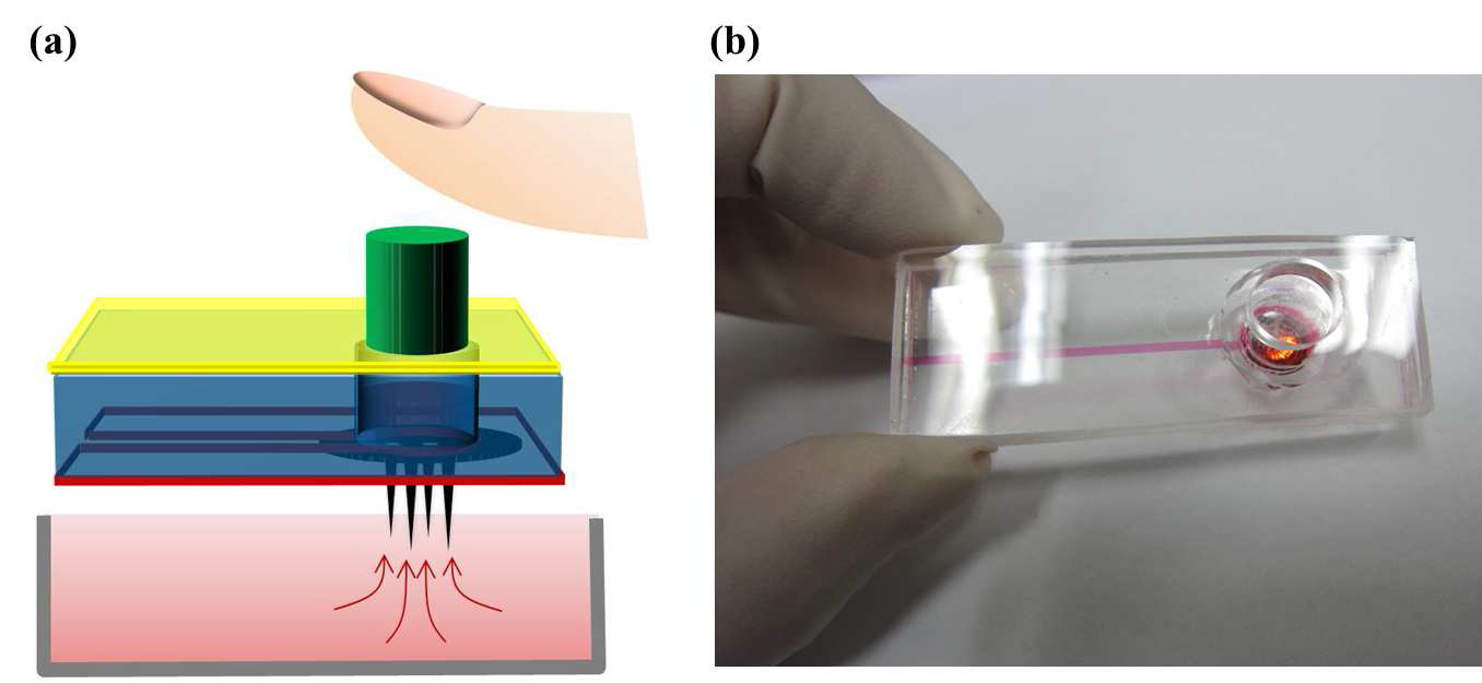 (a) 펌프를 이용해 혈액 및 점도 높은 용액의 채널 내부 이송; (b) 마이크로니들 장착 미세유체소자.