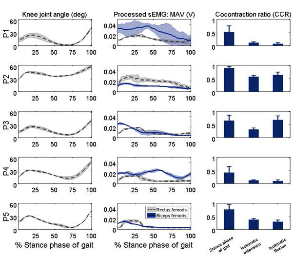 (좌) 보행운동에서의 각도 패턴, (중) 근전도 신호 특징값（MAV) 패턴, (우) 등속 굽힘/폄 운동에서의 동시수축 비율