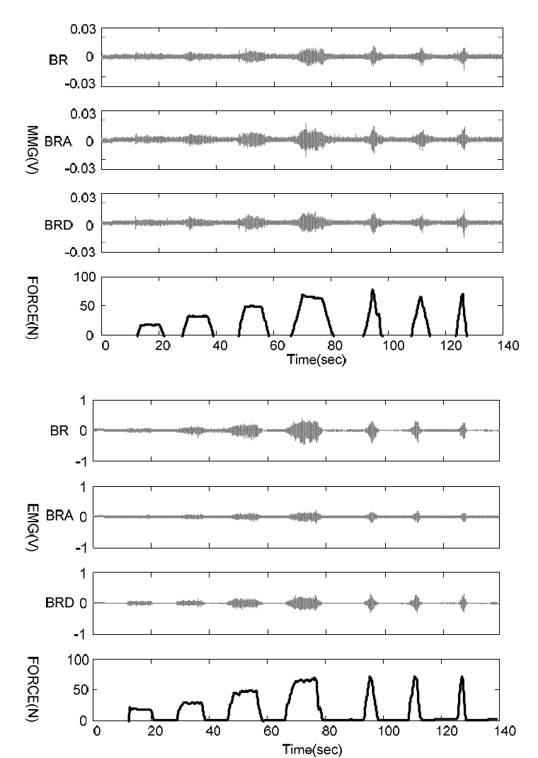근진동 신호(위)와 근전도 신호(아래) 그리고 측정된 힘의 패턴