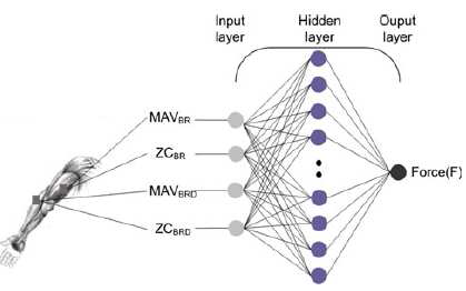 신경회로망을 이용한 근진동신호로부터의 힘 추정
