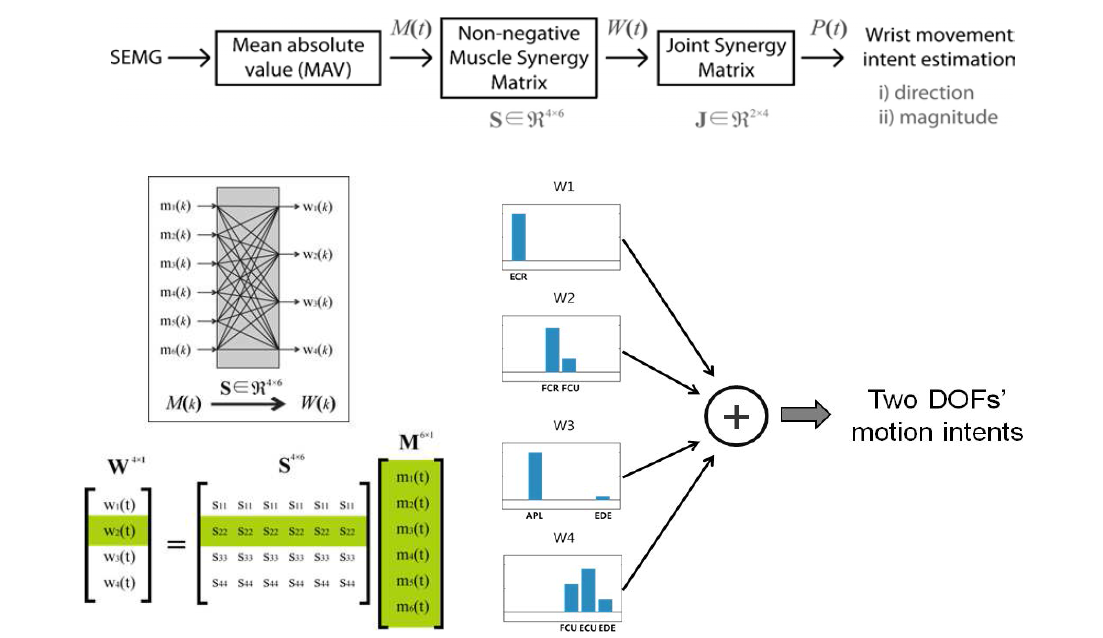 근전도 신호로부터 동작의도 계산까지의 흐름과 근협동작용 행렬S