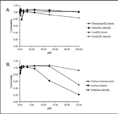 RAW264.7에 대한 중금속의 세포독성 영향