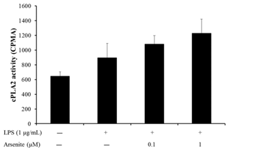 RAW264.7 cell에서 cPLA2 활성에 대한 sodium arsenite의 영향